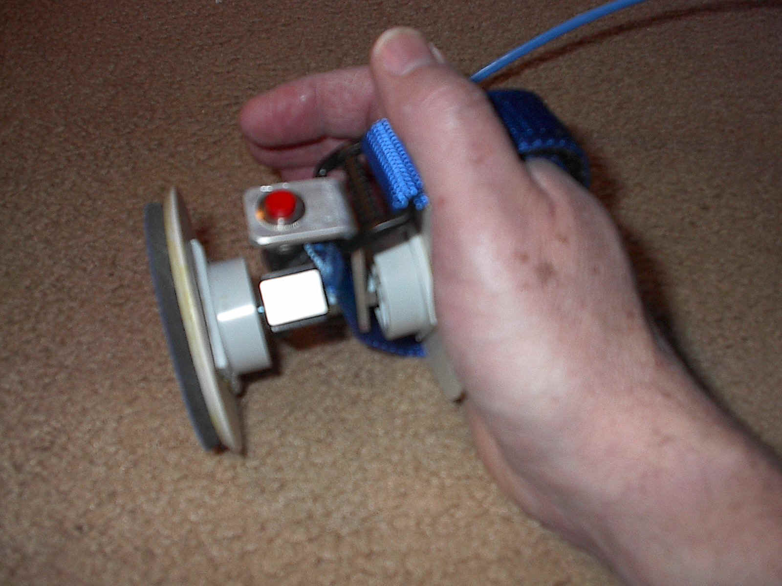 IM002052.JPG (311283 bytes)